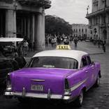 Collection Violet Hour | Noir Collection