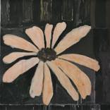 White flower by Robert Solomon