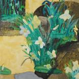 daffodils and rock by Robert Solomon