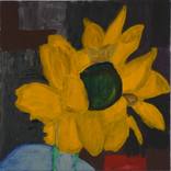 Yellow flower by Robert Solomon