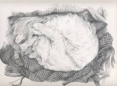 Original Realism Animal Drawings by Monique Geurts