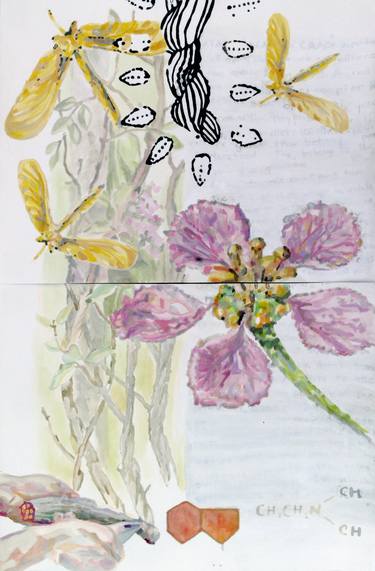 Original Illustration Botanic Drawings by Ifram Alepo