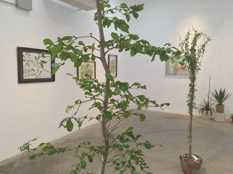 Original Conceptual Botanic Drawing by Ifram Alepo