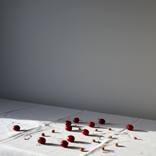 COVID still life no.7 - Limited Edition of 20 by Isabel Sierra y Gomez de Leon