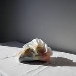 COVID still life no. 9 - Limited Edition of 20 by Isabel Sierra y Gomez de Leon