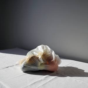 COVID still life no. 9 - Limited Edition of 20
