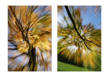 Original Abstract Nature Photography by Christian David Barry