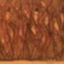 view additional image 1