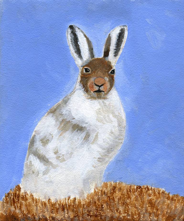 Hare In The Wild Fields - Print