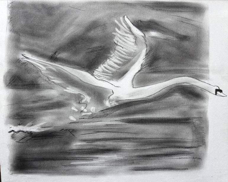 Original Nature Ballpoint Pen Drawings For Sale | Saatchi Art