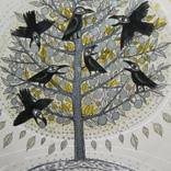 Collection NPQ's Spring 2013 Edition