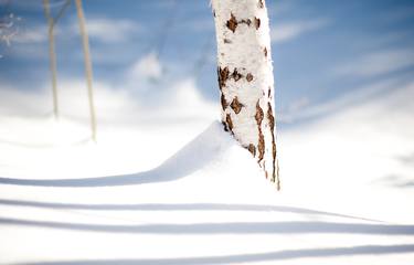 Print of Fine Art Nature Photography by John Bour