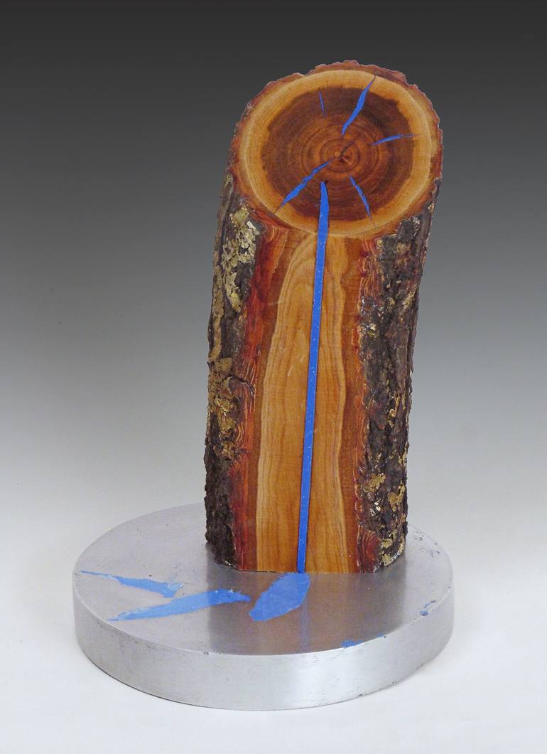 Original contemporary Abstract Sculpture by Dan Woodard