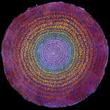 Ascending Spiral of Life by Carlos Grasso