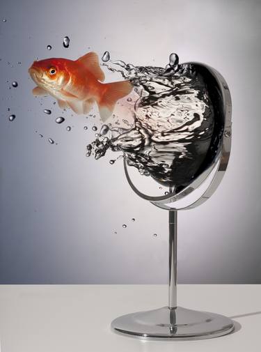 Original Surrealism Fish Photography by Bernard Burridge