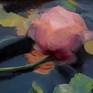 Delicate light on soft petals.