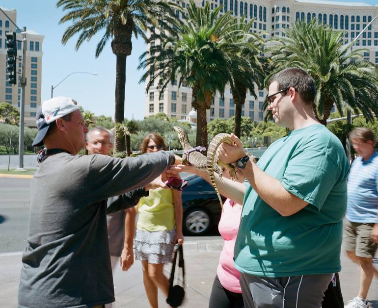 Lizard Handling Photography by Kendall Waldman Saatchi Art