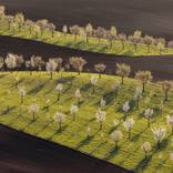 Collection Spring Landscapes