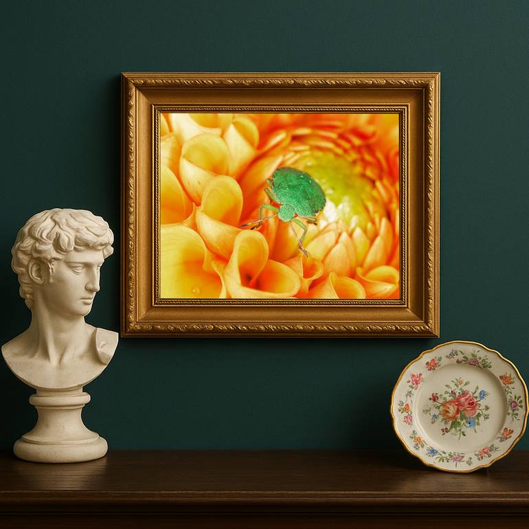 Original Contemporary Nature Photography by Borealis Microcosmos