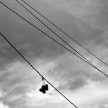 In Defense of Lost Causes by Arya Ghavamian