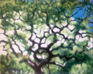 Original Expressionism Tree Paintings by Russell Honeyman