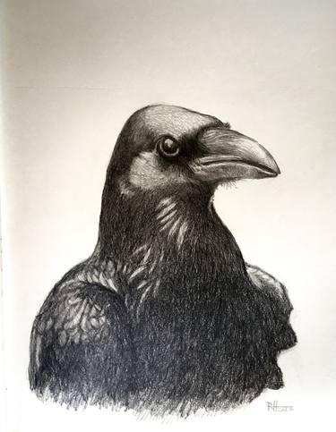 Print of Realism Animal Drawings by Russell Honeyman