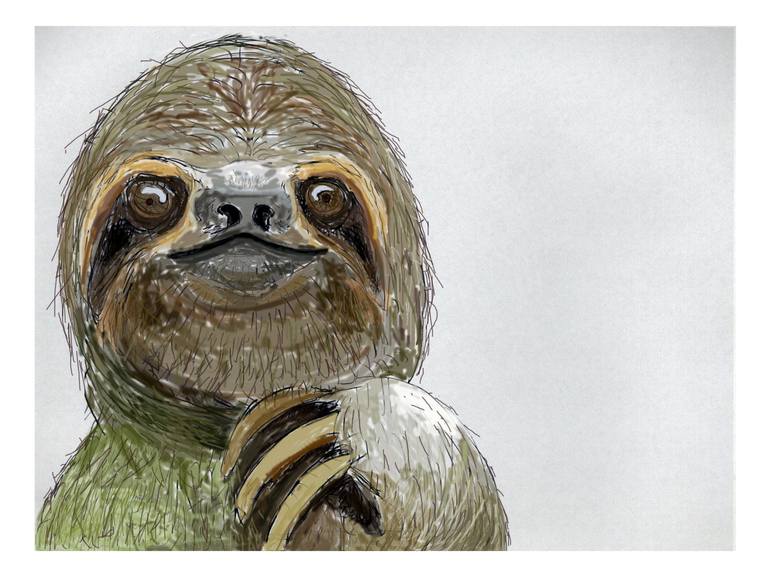 three toed sloth drawing