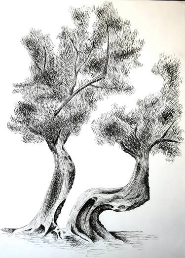 Croatia - island of Pag, over 400 years old olive tree 2- pen and ink - Dora Bratelj thumb