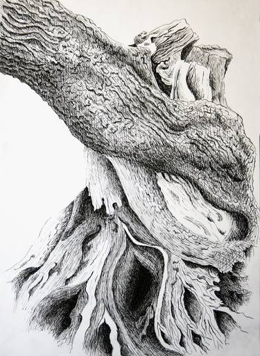 Croatia - island of Pag, over 400 years old olive tree 3- pen and ink - Dora Bratelj thumb