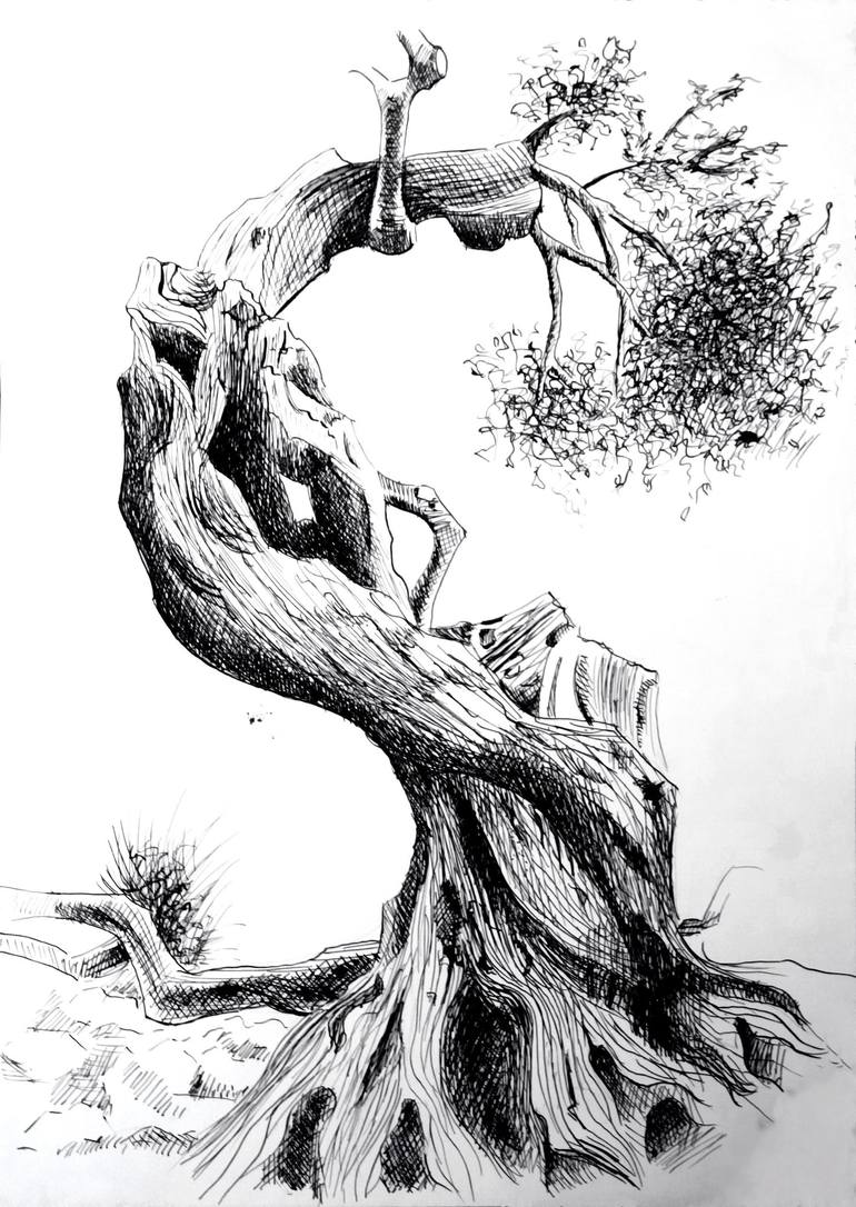 old pen and ink trees
