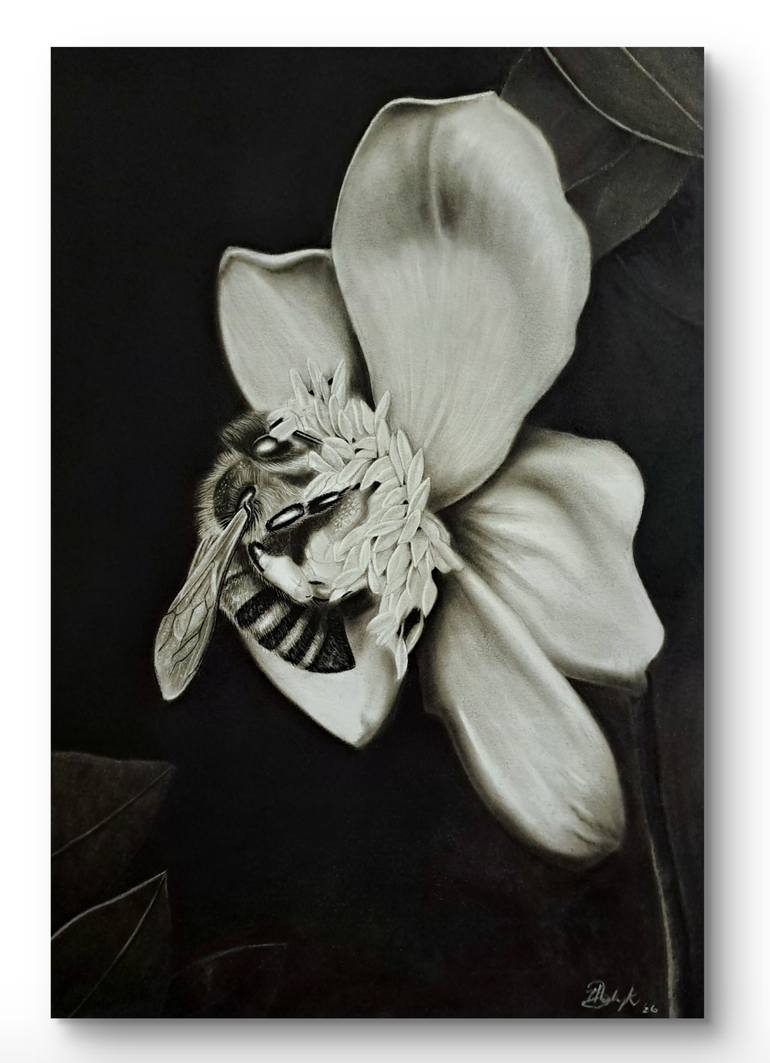 Original Animal Drawing by Brandon Lodewyk | Realism Art on Paper | The Quiet Grind