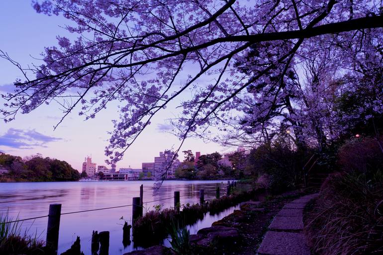 Original Sunset Photography by Touzai Katsushika | Minimalism Art on Acrylic | Reverie of the Spring Breeze - Twilight Flow Unique (1/1)