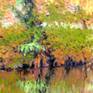 view additional image 5