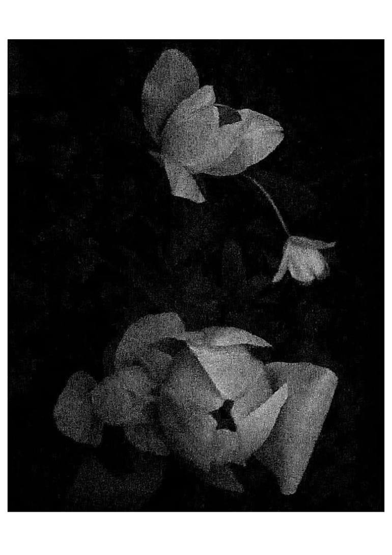 アート・デザイン・音楽 BLACK AND WHITE ERROTIC PHOTOGRAPHY Black and White Photo Instant Digital Download Wall Art Print