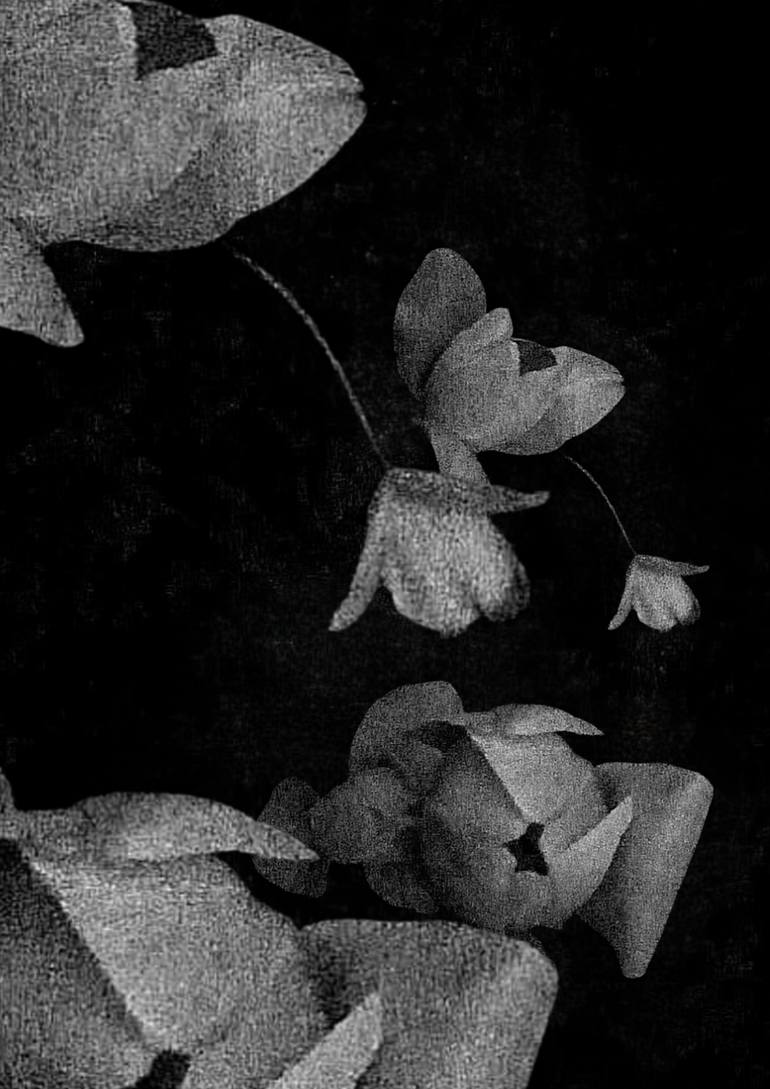 Original Installation Art Abstract Photography by Dominika Nika Blazek