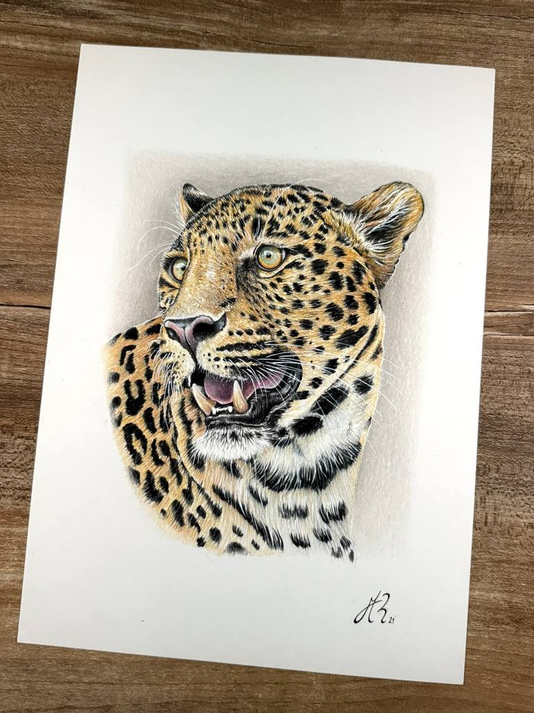 Original Photorealism Animal Drawing by Manuel Reartes