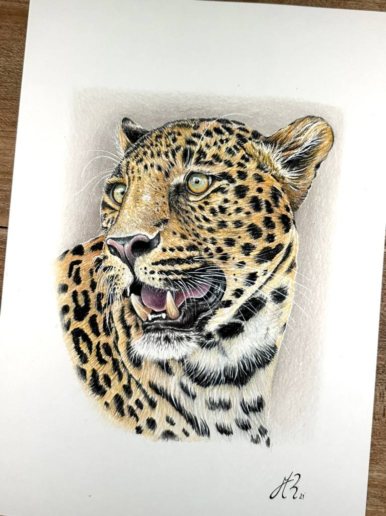 Original Photorealism Animal Drawing by Manuel Reartes