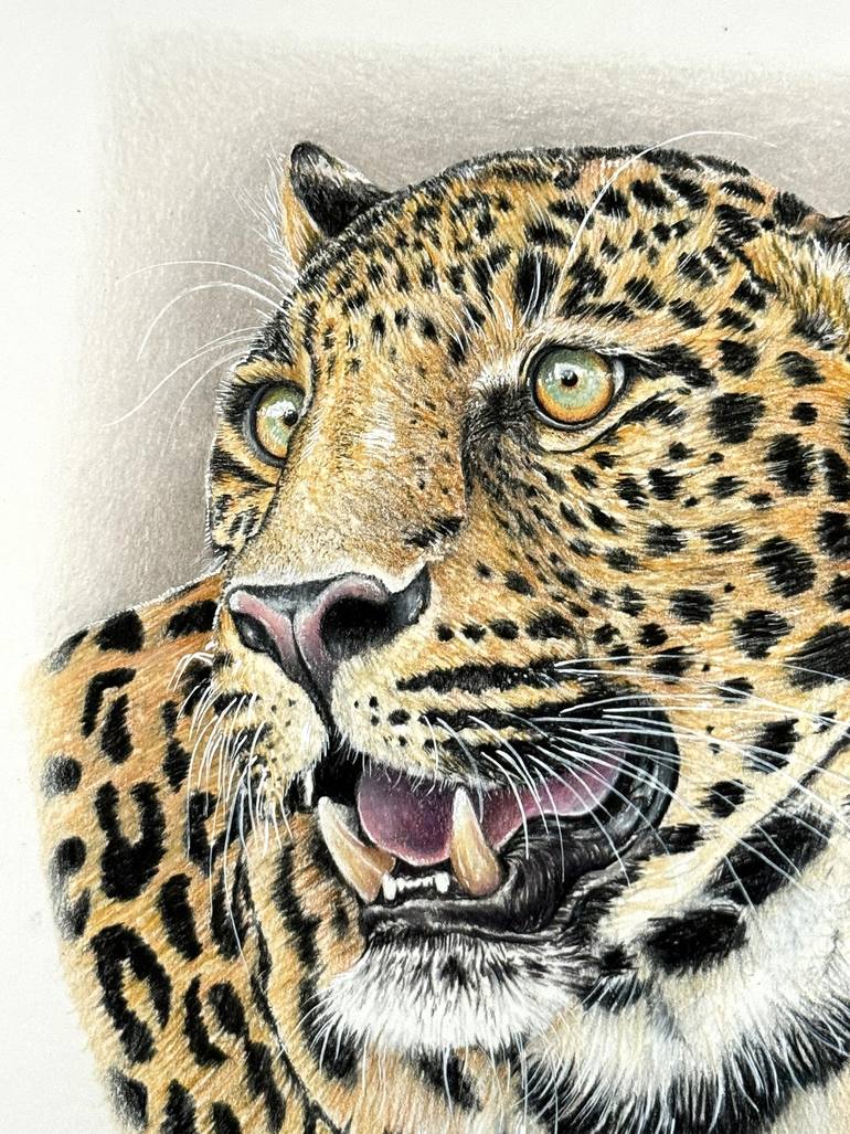 Original Photorealism Animal Drawing by Manuel Reartes