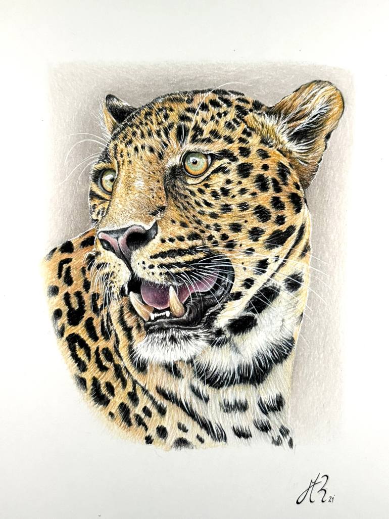 Original Photorealism Animal Drawing by Manuel Reartes