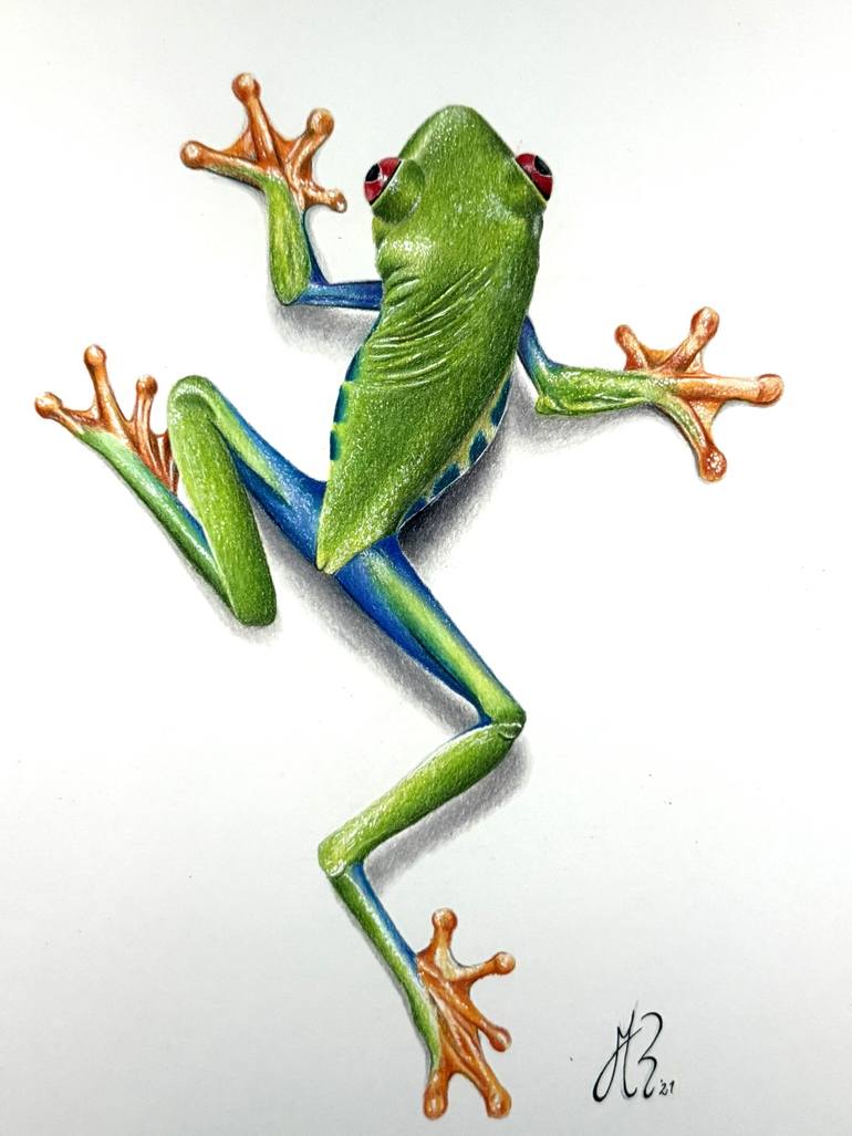 Original Photorealism Animal Drawing by Manuel Reartes