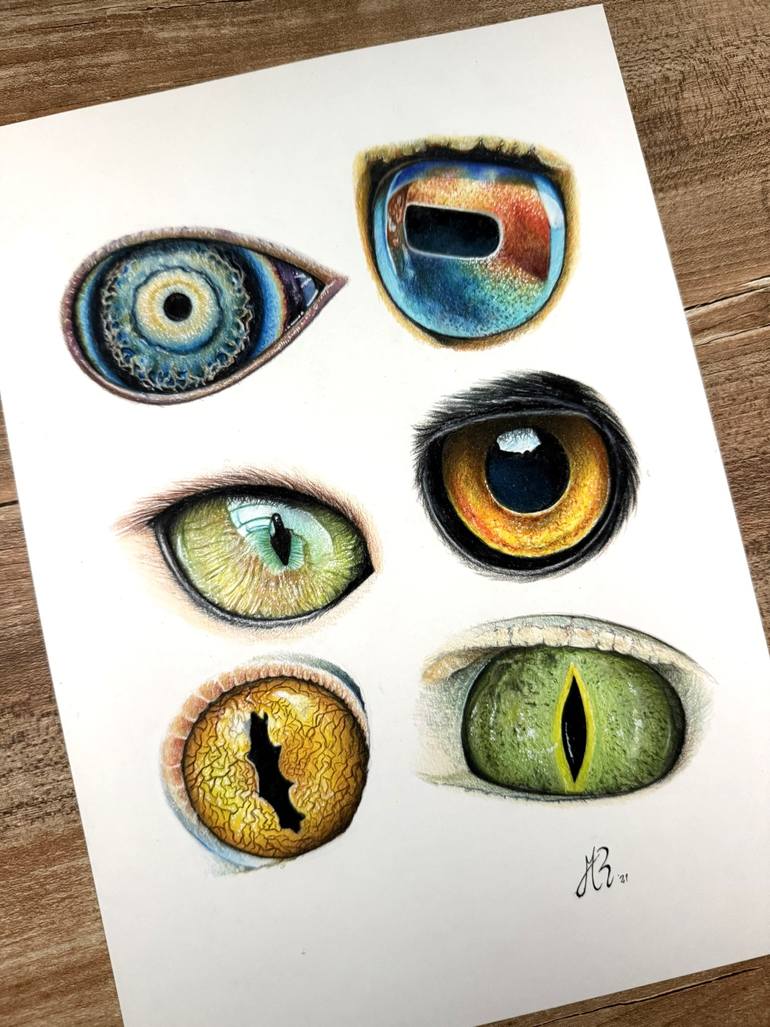 Original Photorealism Animal Drawing by Manuel Reartes