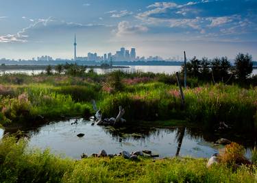 Print of Cities Photography by Brian Carson