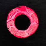 Pink Circle Of Life by Bridget Griggs