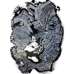 Collection Canada - Highlights