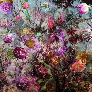Original Floral Photography by Deborah Cameron