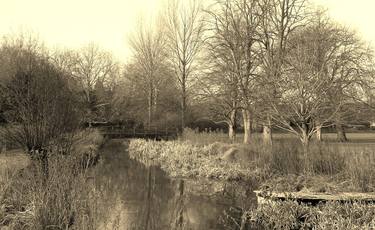 Water Meadows thumb