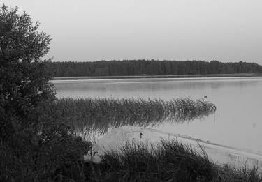 Print of Realism Nature Photography by Jukka Uusitalo