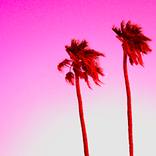 Las P-Almas: Palma IIII by Frankie Mark