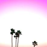 Las P-Almas: Palma IX by Frankie Mark