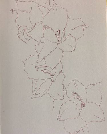 Original Expressionism Floral Drawings by Angeline Kyba